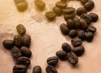 Terroirs café: Les meilleurs producteurs terroirs-cafe-les-meilleurs-producteurs