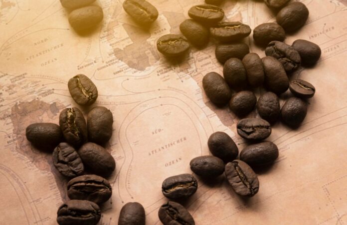 terroirs-cafe-les-meilleurs-producteurs